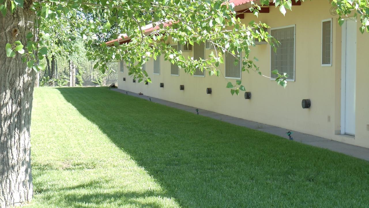 Hotel Quelu Leufu 科罗拉多河 客房 照片